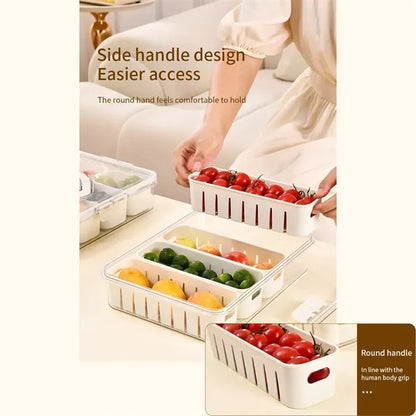 Picnic Beach Divided Serving Tray Snackle Box Container