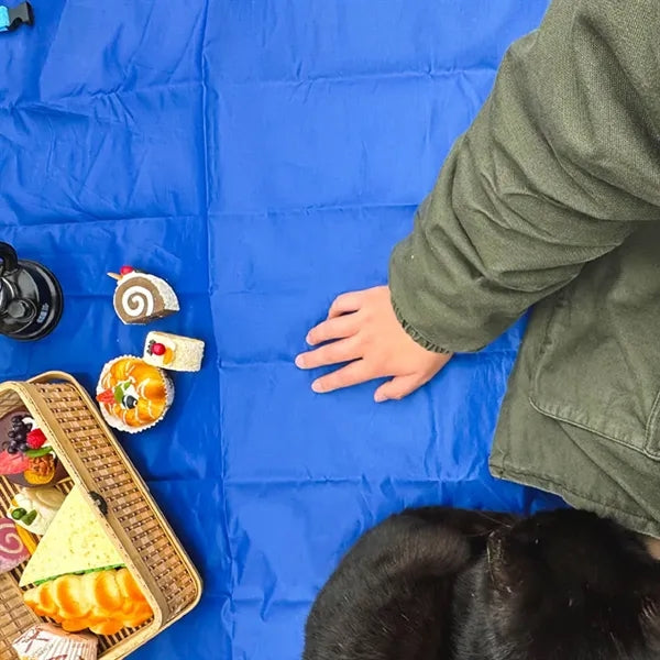 Foldable Waterproof Sandproof Portable Large Picnic Blanket