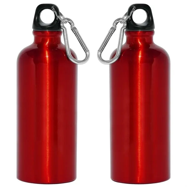 Aluminum Bottle 22 Oz