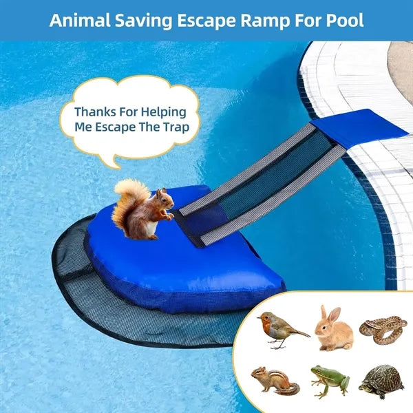 Pool Animal Escape Ramp