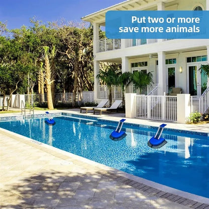 Pool Animal Escape Ramp