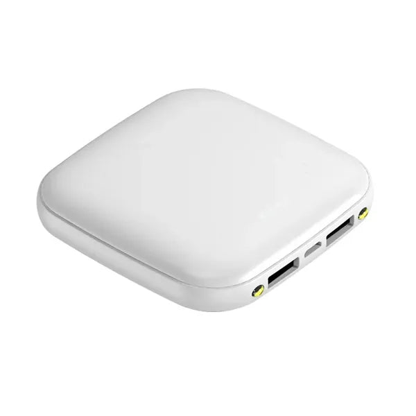 4000mAh Mini Portable Power Bank