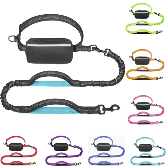 Hands Free Dog Leash with Pouch