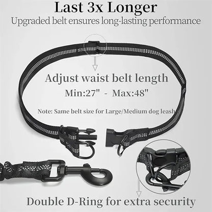 Hands Free Dog Leash with Pouch