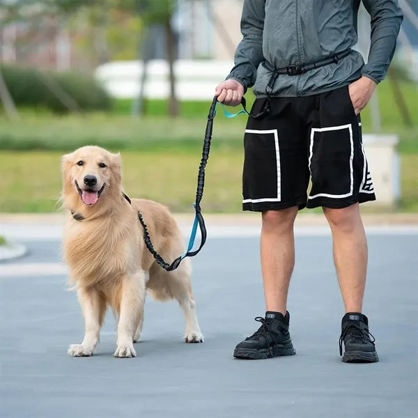 Hands Free Dog Leash with Pouch