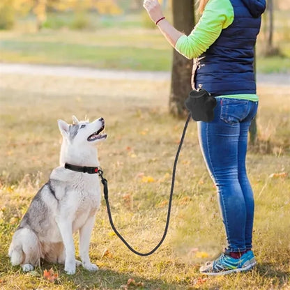 Padded Handle Dog Leash