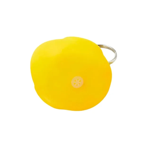 Little Yellow Duck keychain
