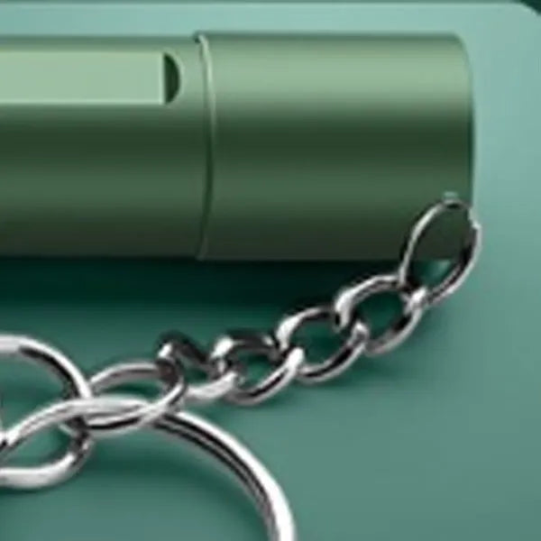 Cat-playing fast USB charging laser pen with keychain