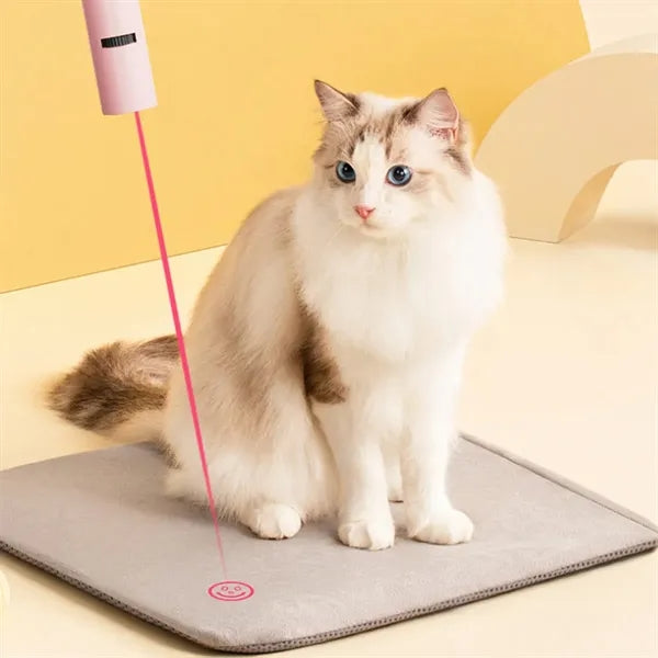 Cat Toy with Three Modes and Multi-function Laser Pointer