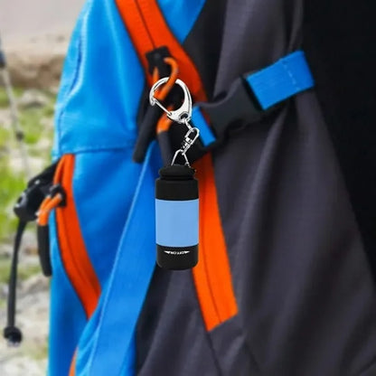 Mini LED Flashlight Keychain with Carabiner Clip