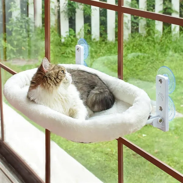 Cat Hammock