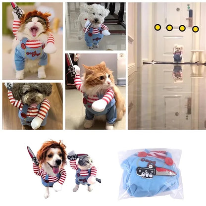 Cats and dogs' Halloween costumes