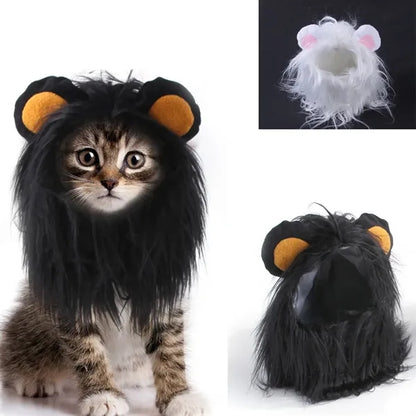 Funny Pet Wig Hat