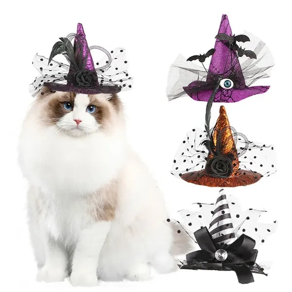 Halloween pet witch hat