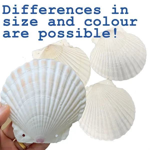 Personalized Shell Art Journal