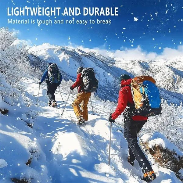Detachable Lightweight Walking Pole & Hiking Stick