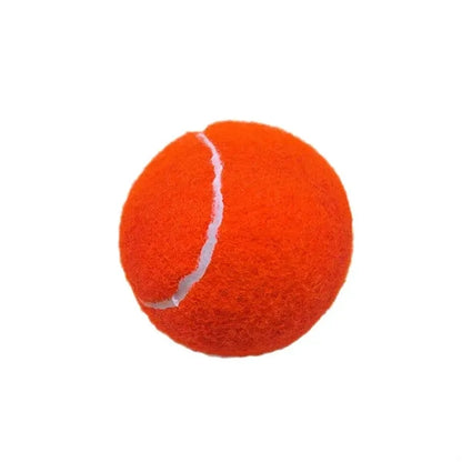 Junior Practice Tennis Balls