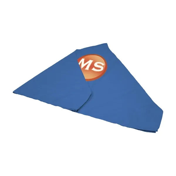 10' Tent Canopy (Full-Color Imprint, 1 Location)