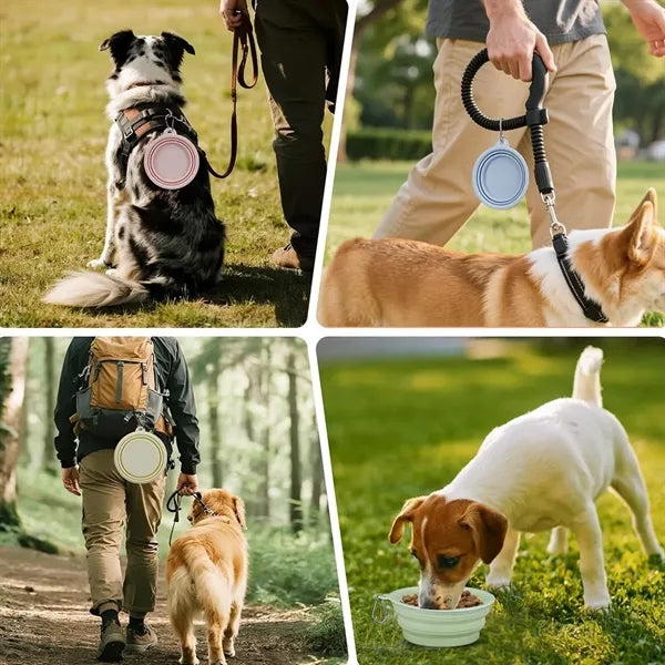 Outdoor Portable Environmentally Friendly Foldable Pet Bowl