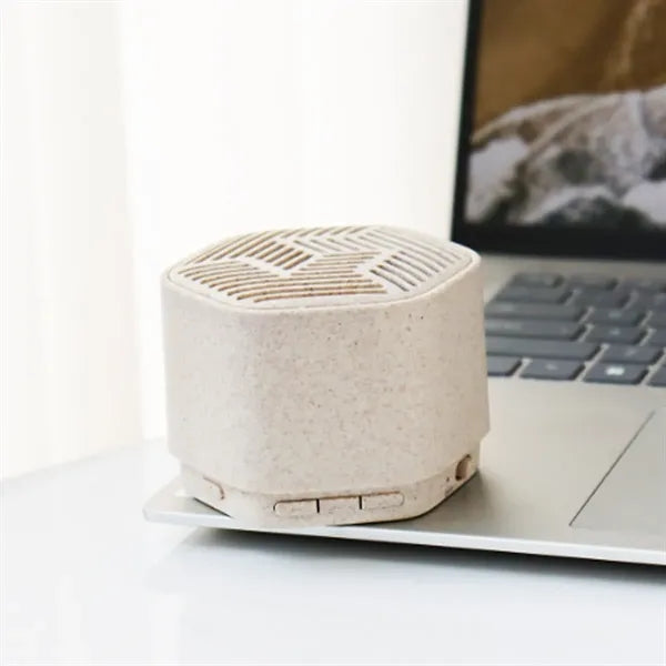Mini Portable Low Power Consumption Wooden Bluetooth Speaker