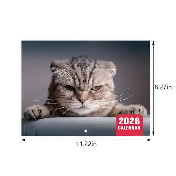 Funny animal memes gift 12 months 2026 cats wall calendar