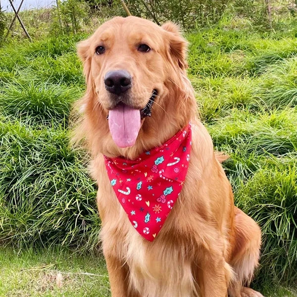 Pet Bandana
