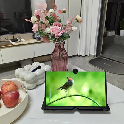 12" Screen Magnifier Amplifier