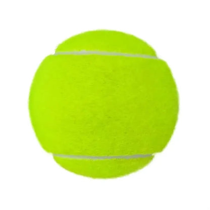 Pet Fetch Toy Tennis Ball