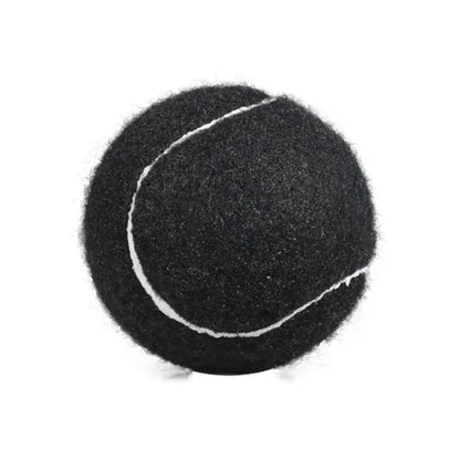Pet Fetch Toy Tennis Ball
