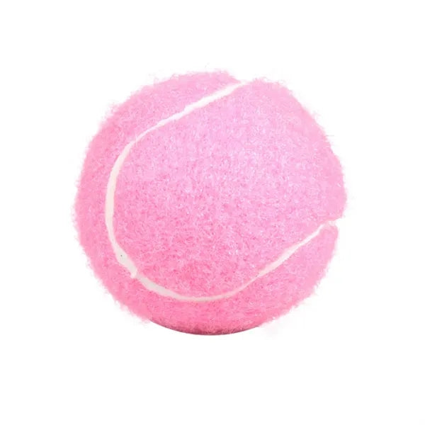 Pet Fetch Toy Tennis Ball