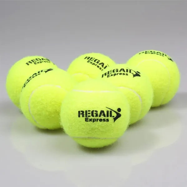 Pet Fetch Toy Tennis Ball