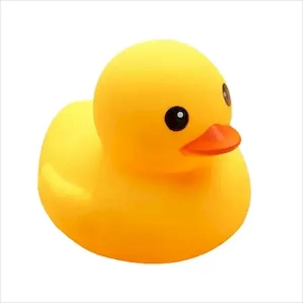 Bath Duck Toys
