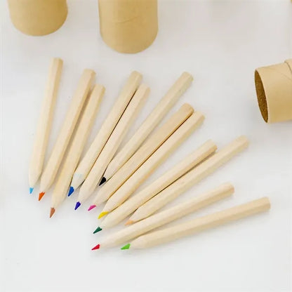 12-Pieces Colored Pencil Set for Drawing in Tube