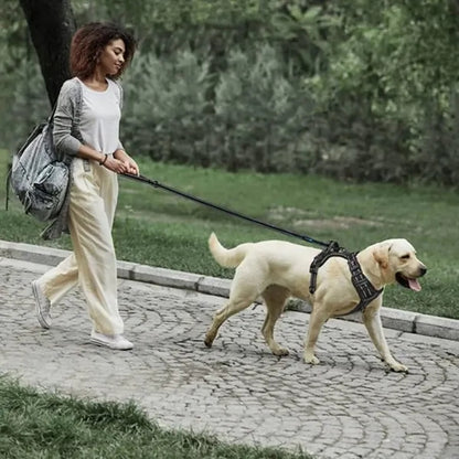 Thickened Reflective Pet Leash