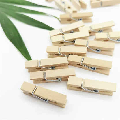 Sturdy Durable Premium Wooden Clothespins with Steel Spring
