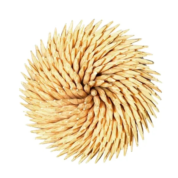 Natural Wood Toothpicks for Teeth Cleaning