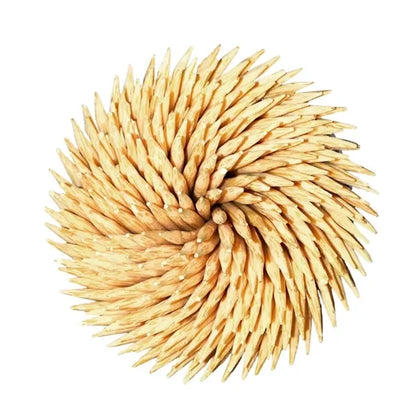 Natural Wood Toothpicks for Teeth Cleaning