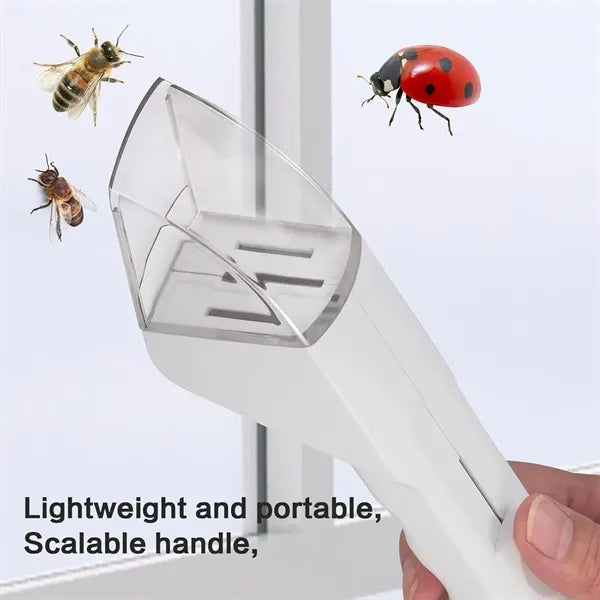 Outdoor Exploration Observation Box Insect Catcher