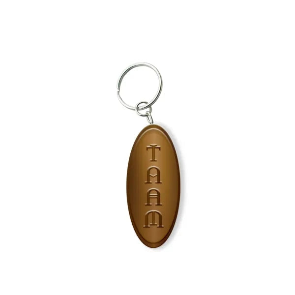 Customized Solid Iron Keychain with Antique Brass Plating