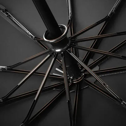 Automatic Umbrella With Wood Handle