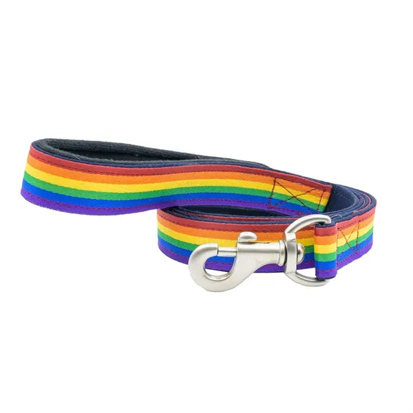 Rainbow Polyester Leash with Snap Carabiner and Loop Handle