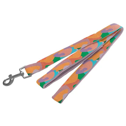 RPET Loop Handle Pet Leash with Snap Carabiner