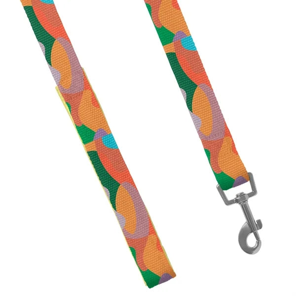 RPET Loop Handle Pet Leash with Snap Carabiner