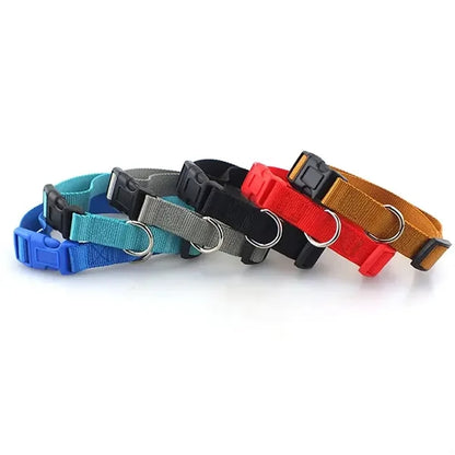 RPET Screen Printed Pet Collar with Buckle Release