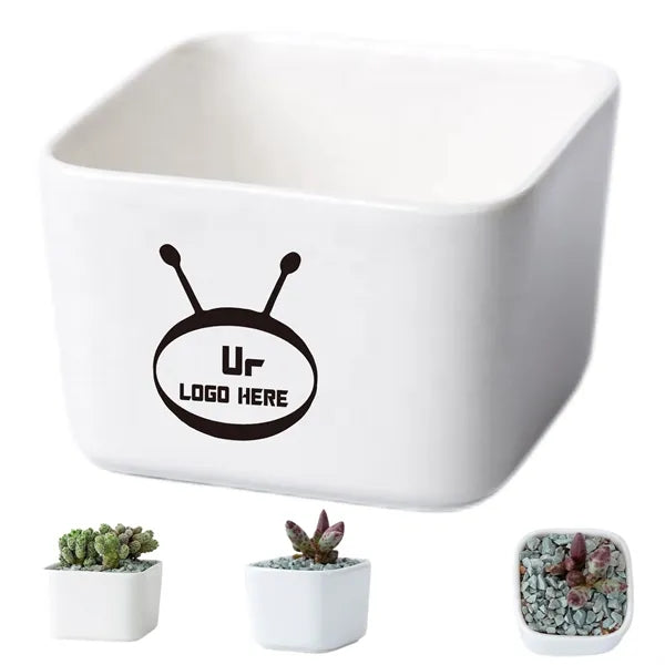 Small Succulent Planters