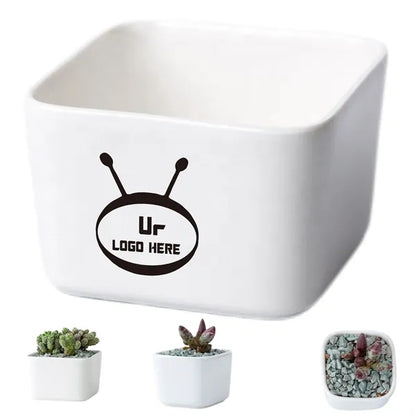 Small Succulent Planters