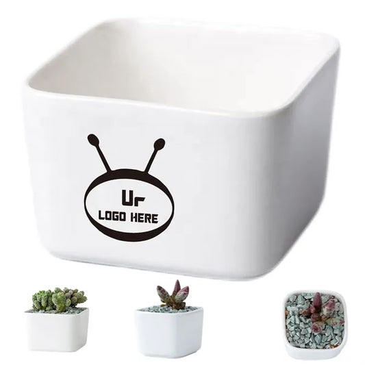 Small Succulent Planters