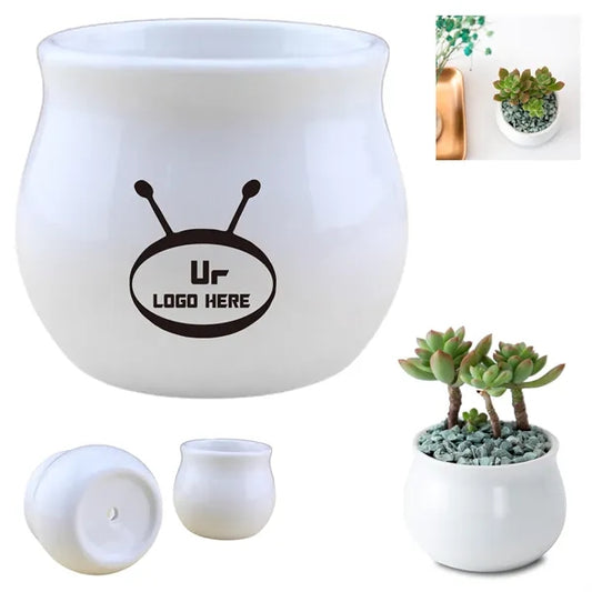 Round Ceramic Succulent Planters