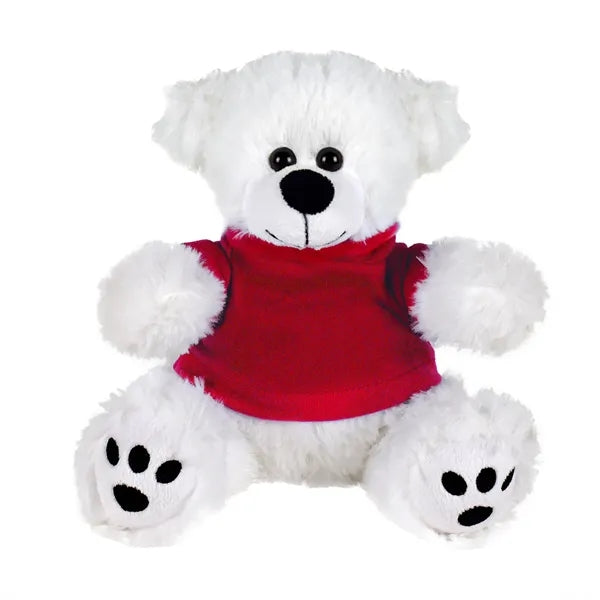 Plush Bear w/ Embroidered Paws and T-Shirt