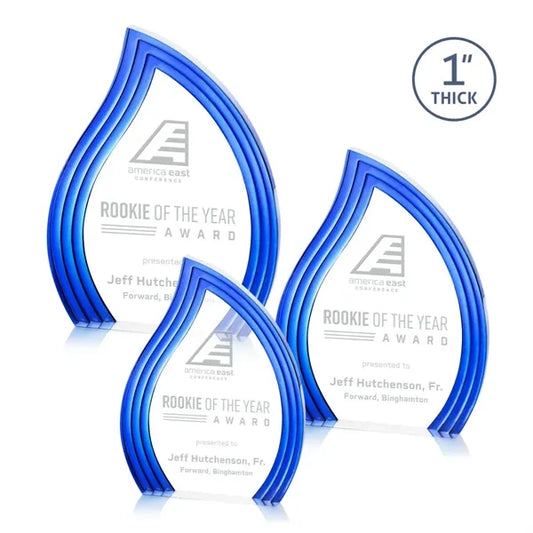 Tidworth Blaze Award - Blue